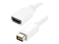 StarTech.com Adaptateur de cable video Mini DVI vers HDMI pour Macbook et iMac - adaptateur video - HDMI / DVI - 20 cm